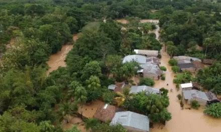 Así puedes ayudar tras la emergencia en Córdoba