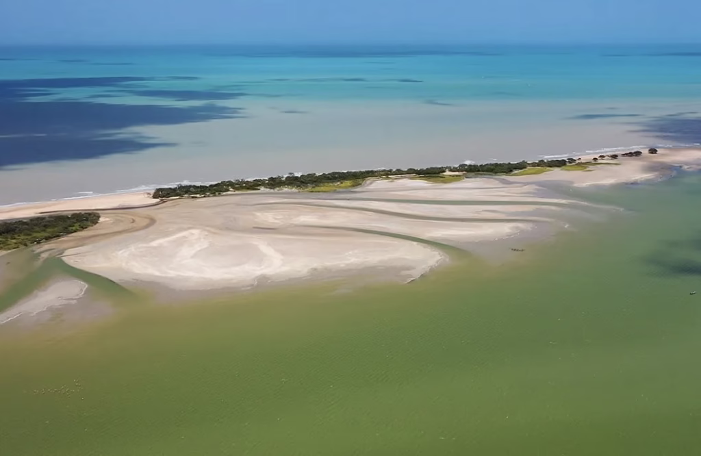 Flamencos en La Guajira