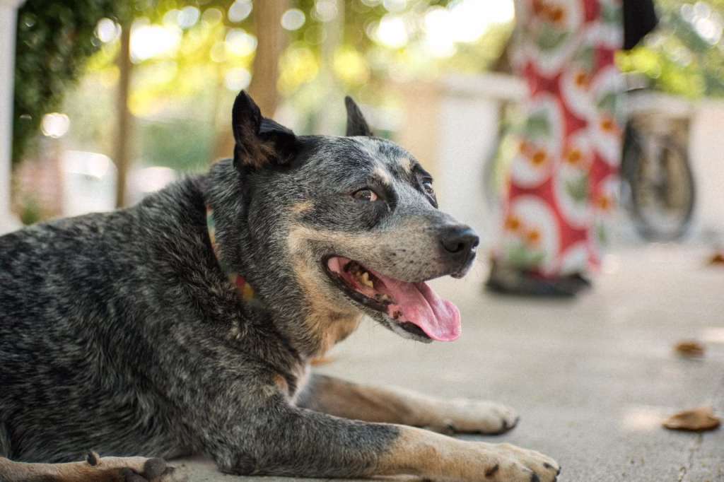 Caminata Fotográfica Rostro Caribe 2025