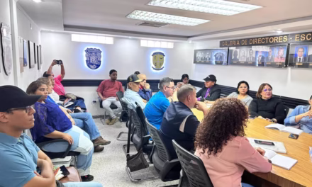 CCP de LUZ presenta su plan de trabajo 2026